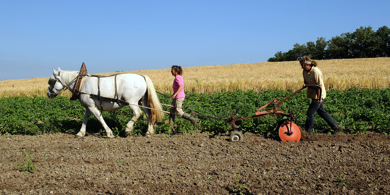 Agriculteurs qui bossent comme des trimards