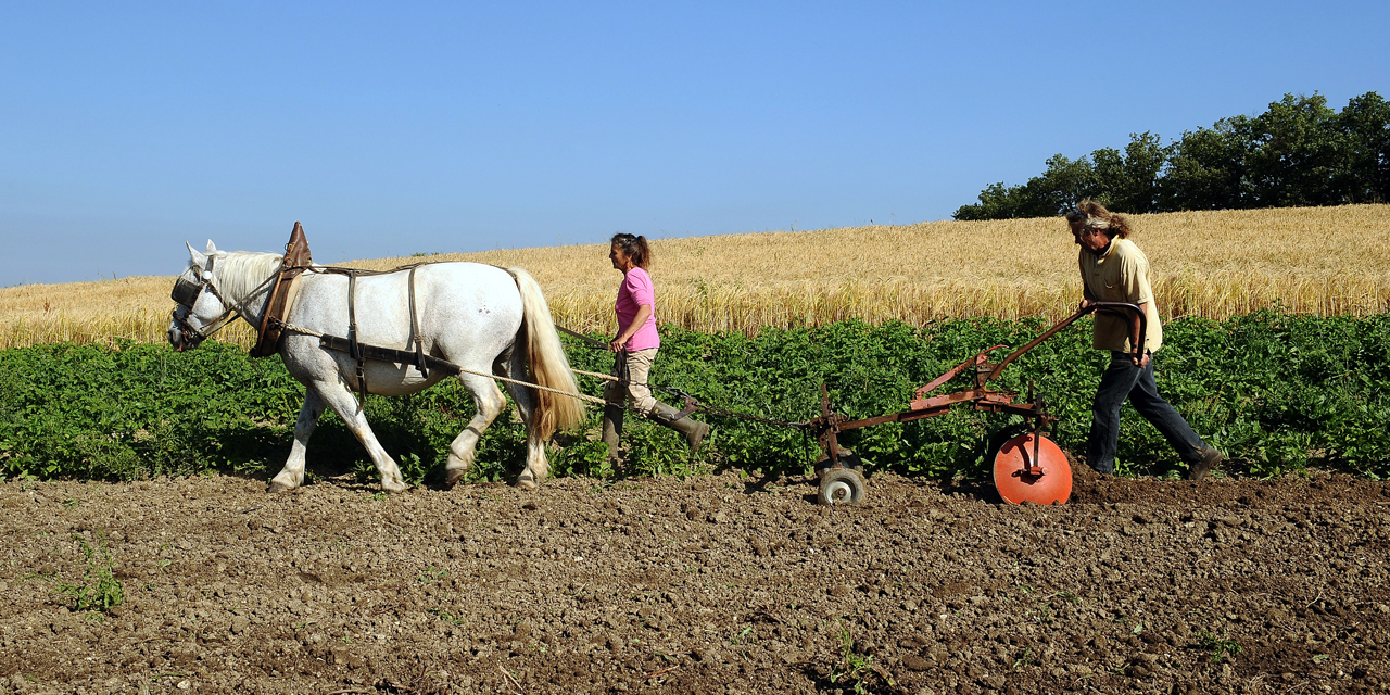 Agriculteurs qui bossent comme des trimards